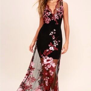 New with tags sz XS sheer embroidered dress from LuLus